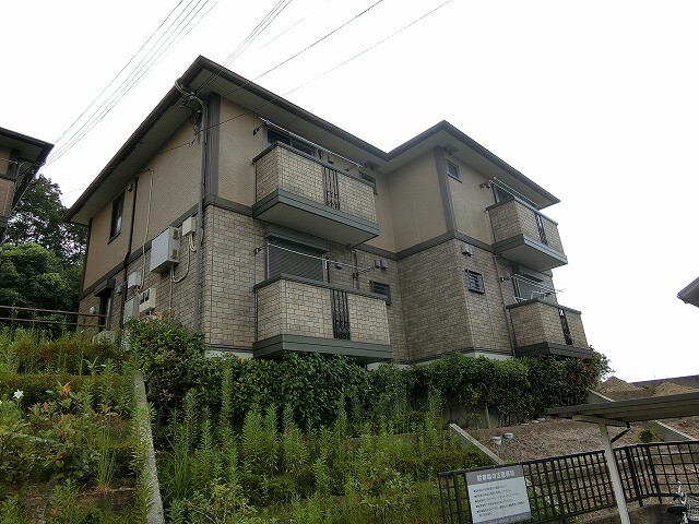 12257176/建物外観