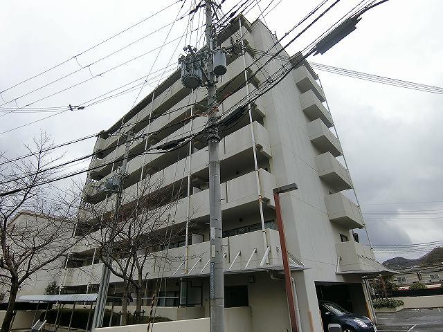 13173662/建物外観